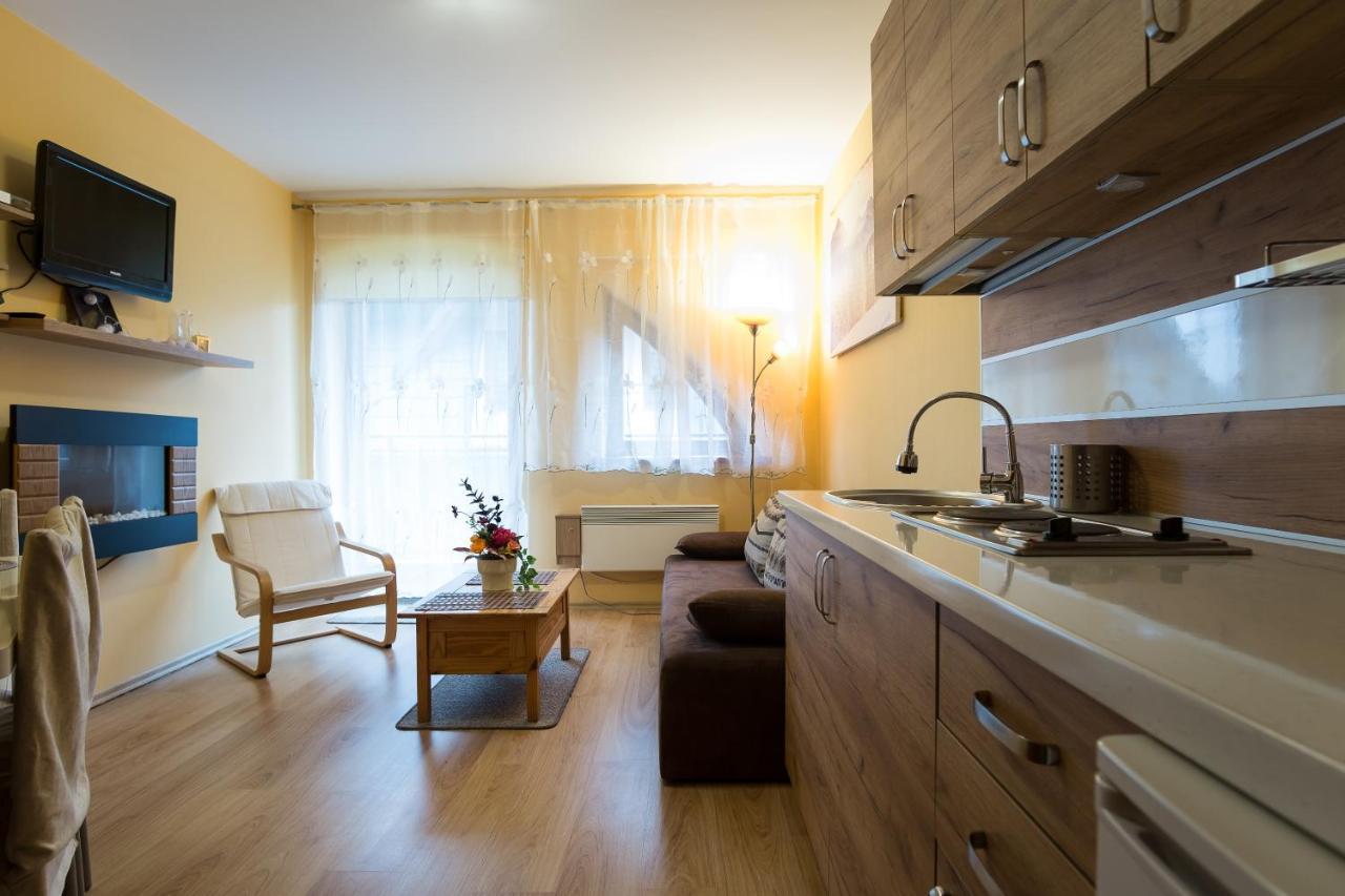Panorama Tatrzanska Koscielisko Appartamento Esterno foto